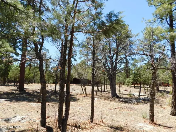 Happy Jack, AZ 86024,2797 Hummingbird Circle #158