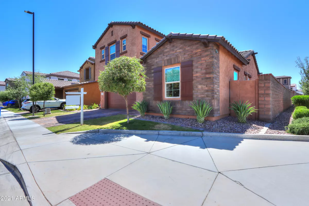 Chandler, AZ 85248,4252 S BARBERRY Drive