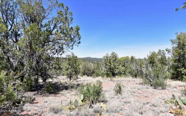 Seligman, AZ 86337,0 N Ridge Runner Road #481