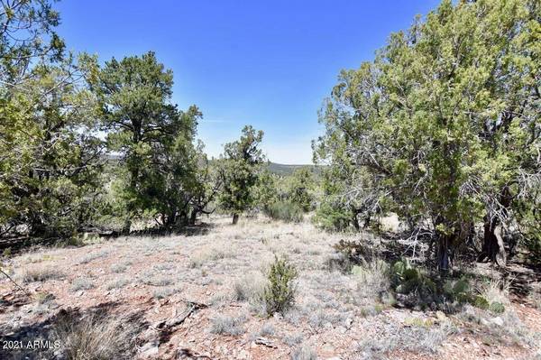 Seligman, AZ 86337,0 N Ridge Runner Road #481