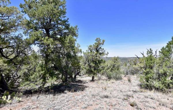 Seligman, AZ 86337,0 N Ridge Runner Road #481