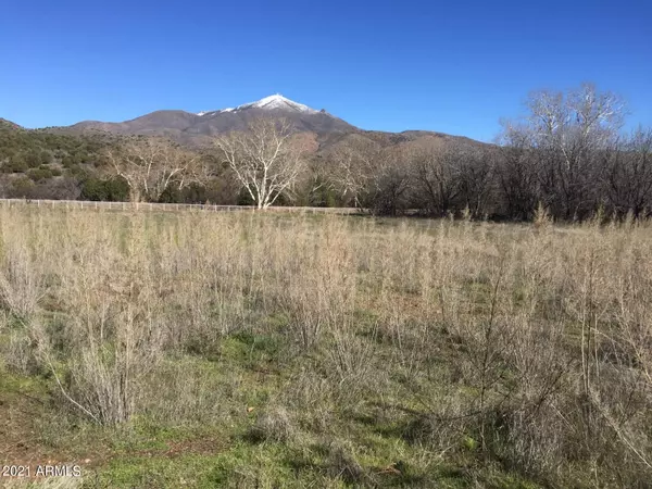 Sunflower, AZ 85263,27892 E MOUNT ORD Drive #1