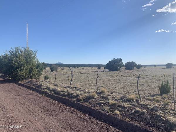 Show Low, AZ 85901,12 COUNTY ROAD 8255 -- #-