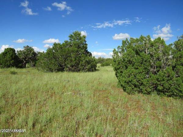 Concho, AZ 85924,12 COUNTY ROAD 8071 -- #-