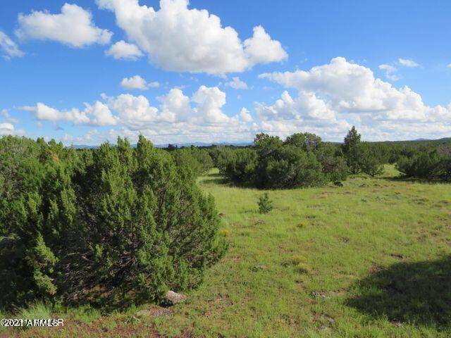 12 COUNTY ROAD 8071 -- #-, Concho, AZ 85924