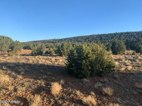 Concho, AZ 85924,22 COUNTY ROAD 8098 -- #-