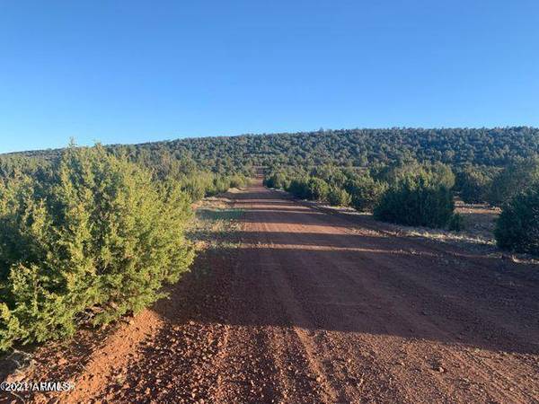 Concho, AZ 85924,22 COUNTY ROAD 8098 -- #-