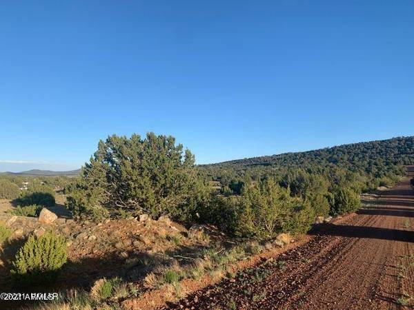 Concho, AZ 85924,22 COUNTY ROAD 8098 -- #-