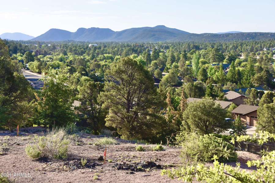 802 N OAK Point #313, Payson, AZ 85541