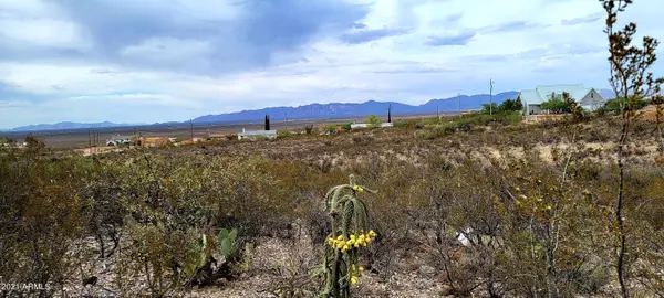 Fulton Street #12, Tombstone, AZ 85638