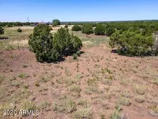 Show Low, AZ 85901,8508 POWELLS Lane #-