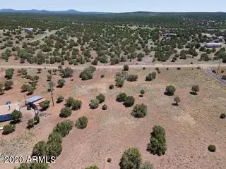 Show Low, AZ 85901,8508 POWELLS Lane #-