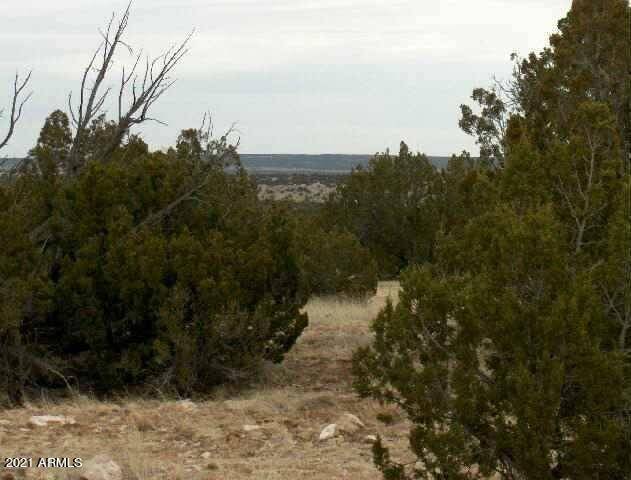 Heber, AZ 85928,302 Chevelon Canyon Ranch -- #302