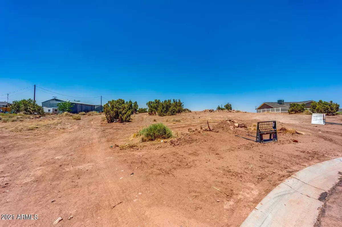 Taylor, AZ 85939,246 S CRYSTAL Circle #16