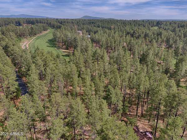 Pinetop, AZ 85935,3057 Red Robin Road