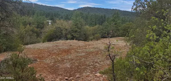 0 N Elk Song Trail #15, Young, AZ 85554