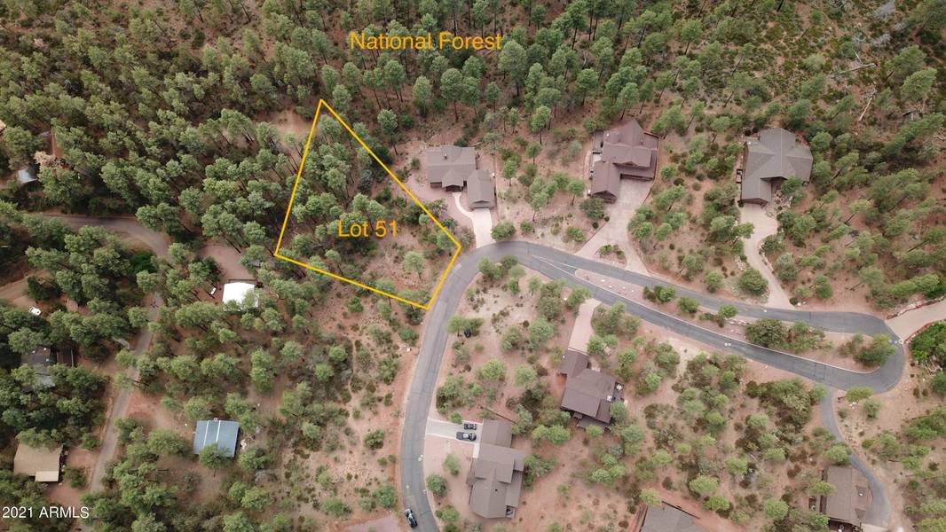 51 Forest Trail Court #51, Pine, AZ 85544