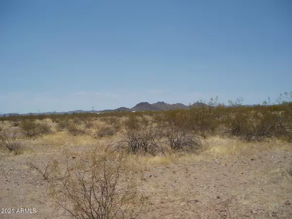 Unincorporated County, AZ 85361,30515 W Forrest Pleasant Place #221