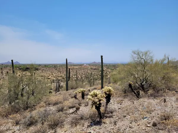 Scottsdale, AZ 85262,8943 E RED LAWRENCE Drive #28