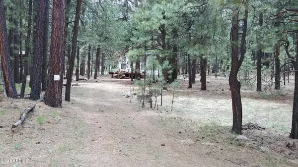 Forest Lakes, AZ 85931,2371 BUNNY HABIT Circle