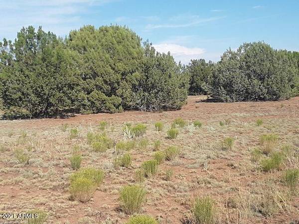 Concho, AZ 85924,Pines Unit 8 Lot #423 -- #423