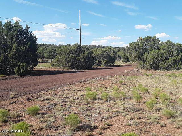 Pines Unit 8 Lot #423 -- #423, Concho, AZ 85924