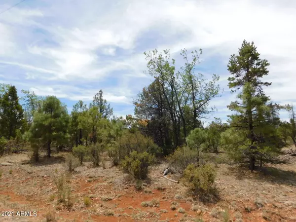 Happy Jack, AZ 86024,8202 Mogollon Trail #106