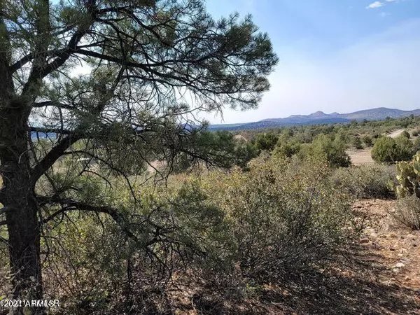 Prescott, AZ 86305,N Indain Ruins Rd 10.64 Acres -- #-