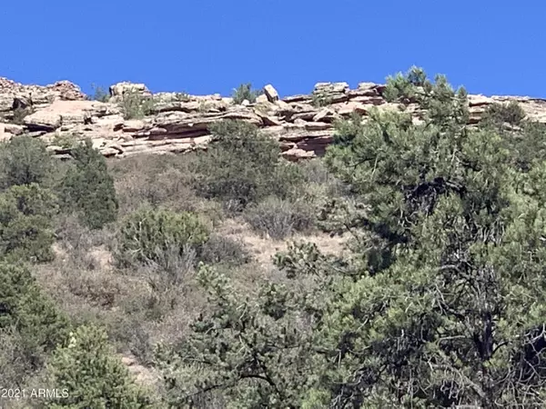 Prescott, AZ 86305,N Indain Ruins Rd 10.64 Acres -- #-