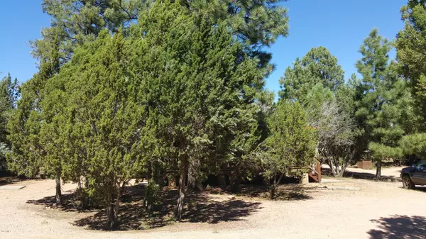 Overgaard, AZ 85933,2742 FOX Trail