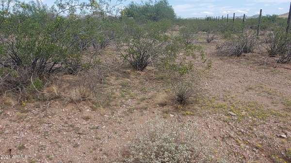 Wittmann, AZ 85361,32050 W Olesen Road #28