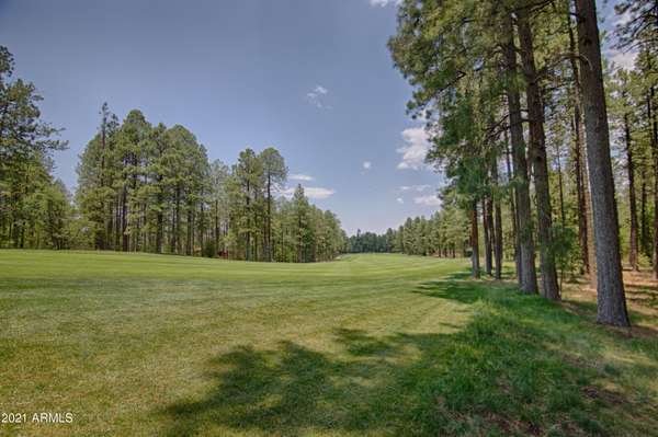 Pinetop, AZ 85935,3087 Aspen Loop