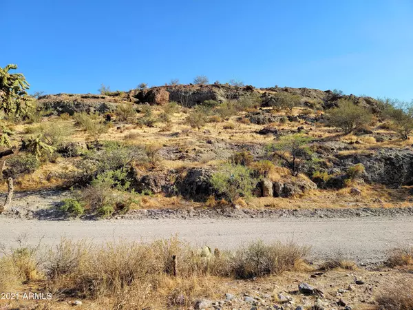 Queen Valley, AZ 85118,0 N Elephant Butte Road #-