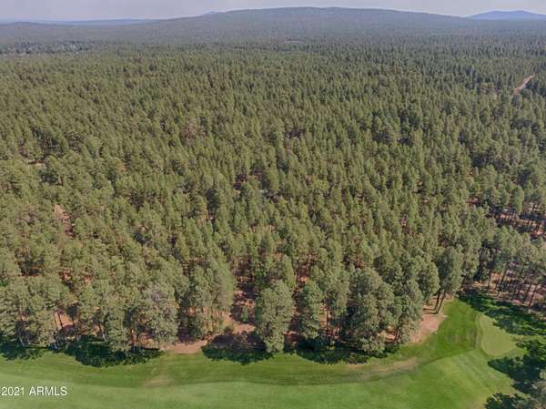 Pinetop, AZ 85935,3466 Hummingbird Lane