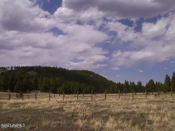 Flagstaff, AZ 86001,7228 W FREEDLINE Drive #11