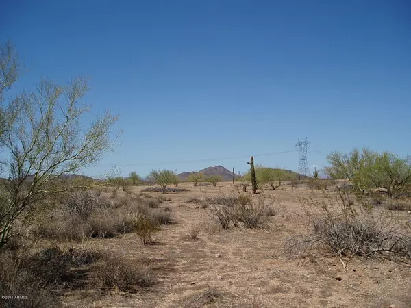 Unincorporated County, AZ 85361,30399 W Dove Valley Road #135