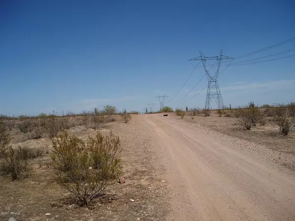 Unincorporated County, AZ 85361,30301 W Dove Valley Road #136