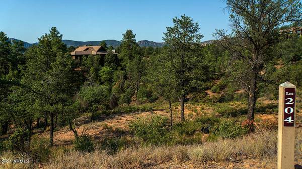 3003 E HANGING ROCK -- #204, Payson, AZ 85541