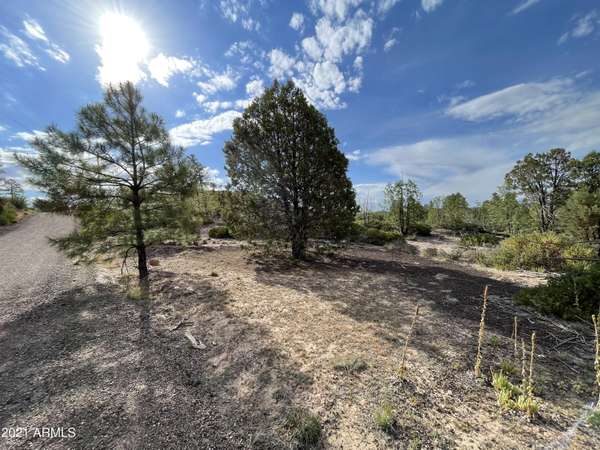 6289 RAINBOW Trail #417, Show Low, AZ 85901