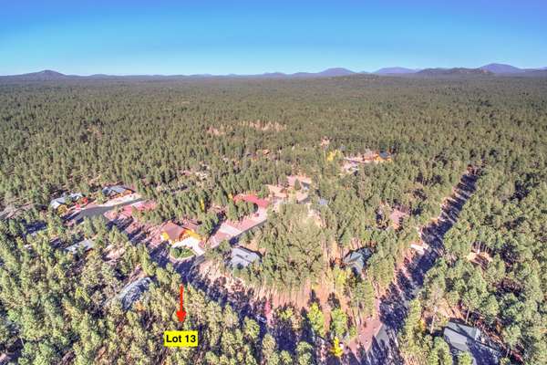 Pinetop, AZ 85935,8828 Starwood Drive #13