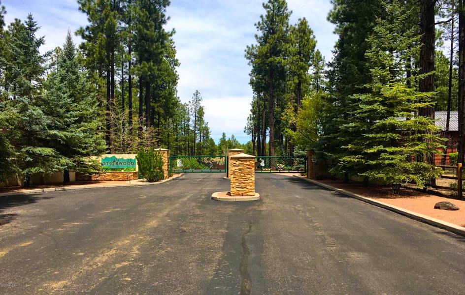 8828 Starwood Drive #13, Pinetop, AZ 85935