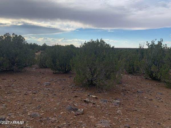 Show Low, AZ 85901,8756 BONITO Drive #-