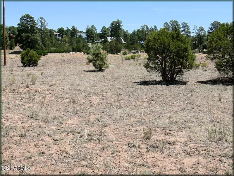 2222 MOGOLLON RIM Drive #197, Overgaard, AZ 85933