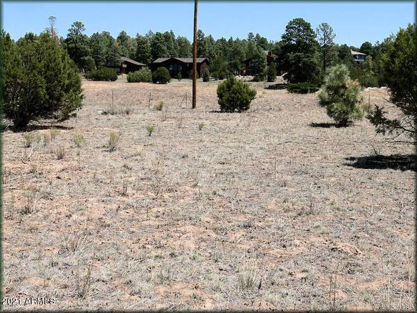 Overgaard, AZ 85933,2222 MOGOLLON RIM Drive #197