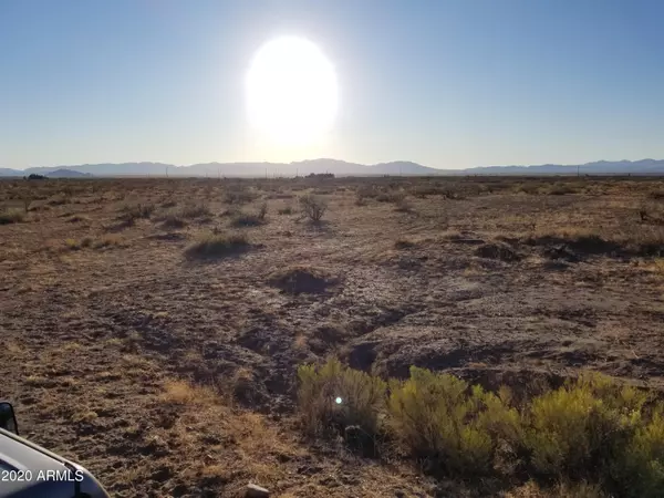 Willcox, AZ 85643,163 S Narita Lane #163