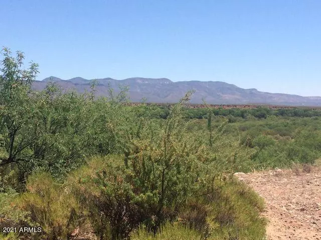 Tonto Basin, AZ 85553,83 S Moose Point Drive #-