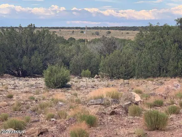 Concho, AZ 85924,8756 8766 Bonito Drive #-