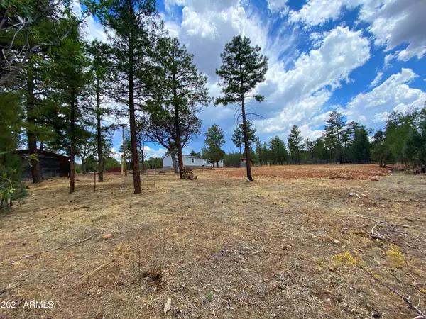 Pinedale, AZ 85934,1248 ELM Street