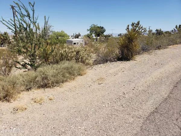Meadview, AZ 86444,255 W BRADLEY BAY Drive #183
