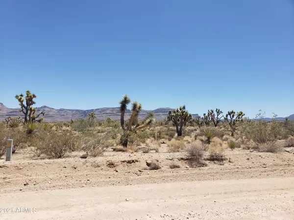 Meadview, AZ 86444,0 Sandview Drive #230